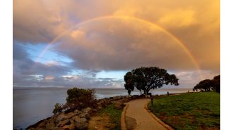 Here's how you can unwind and de-stress during the election weekend in the Bay Area with these 7 tips.