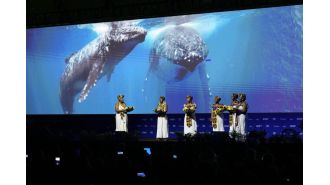 At COP16 biodiversity summit, delegates decide to create Indigenous subsidiary body in Colombia.
