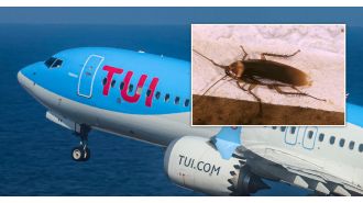 A TUI flight was delayed for eight hours due to the discovery of cockroaches, causing inconvenience for passengers.