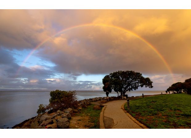 Here's how you can unwind and de-stress during the election weekend in the Bay Area with these 7 tips.