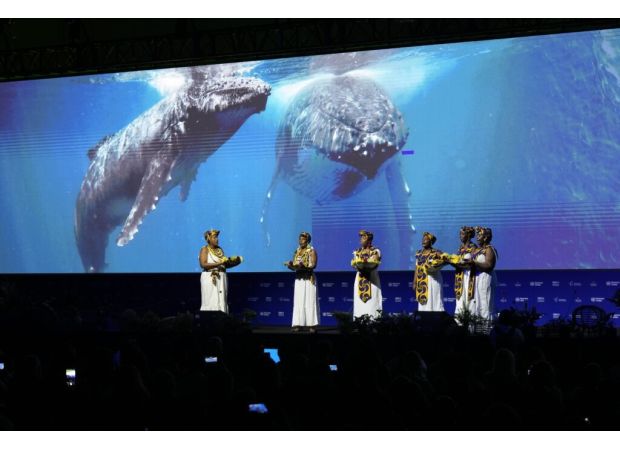 At COP16 biodiversity summit, delegates decide to create Indigenous subsidiary body in Colombia.