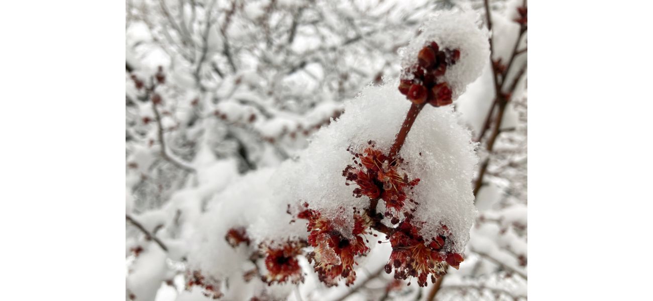 Denver may have snow Sunday night and the possibility of more snow in the following week.