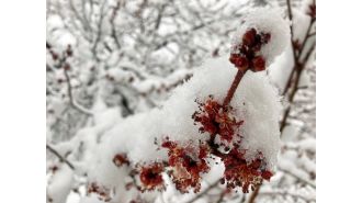 Denver may have snow Sunday night and the possibility of more snow in the following week.