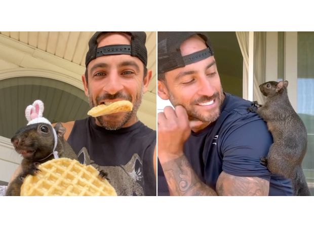 Peanut the Squirrel, popular on Instagram, was put to sleep by authorities.