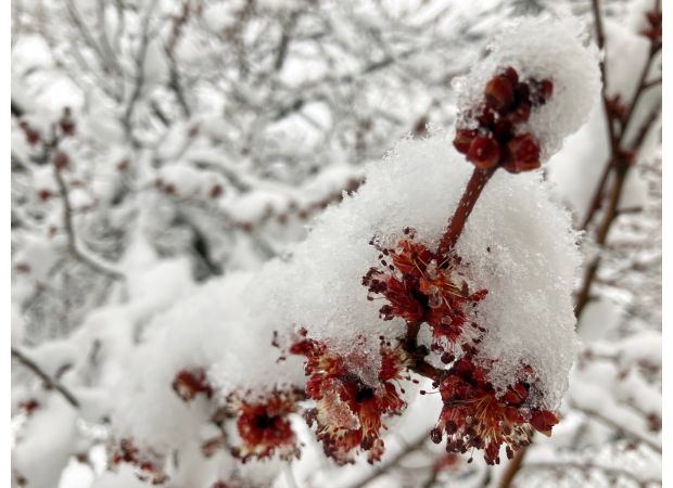 Denver may have snow Sunday night and the possibility of more snow in the following week.
