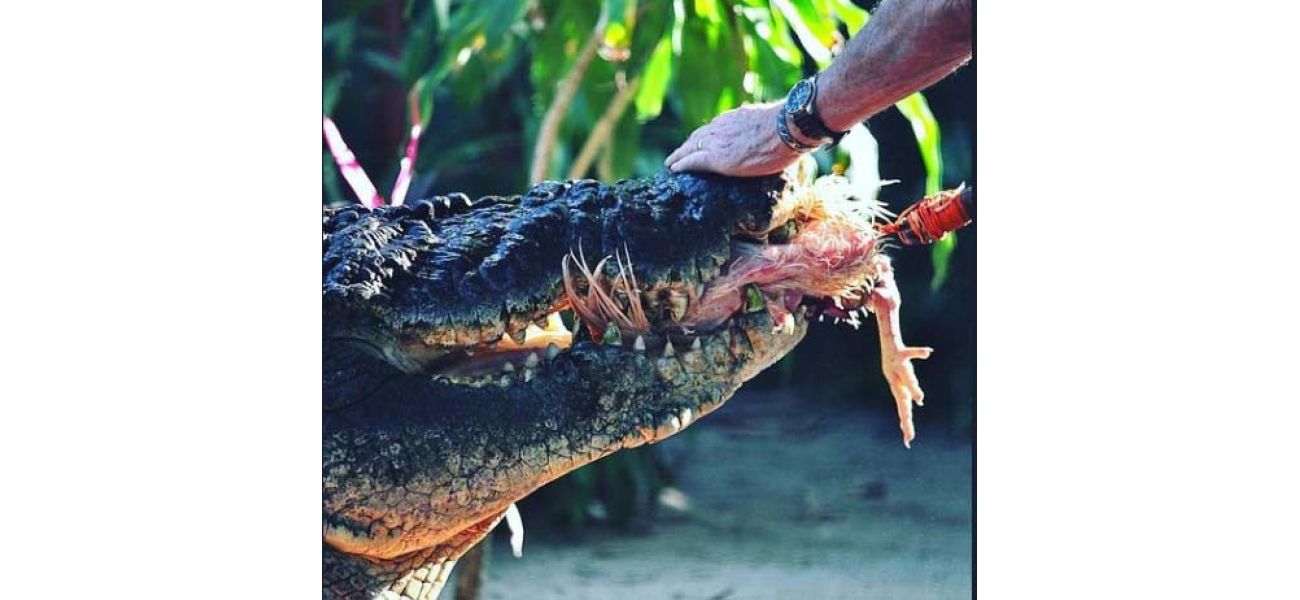 Australia's largest captive crocodile, Cassius, dies in Australia after a long life.