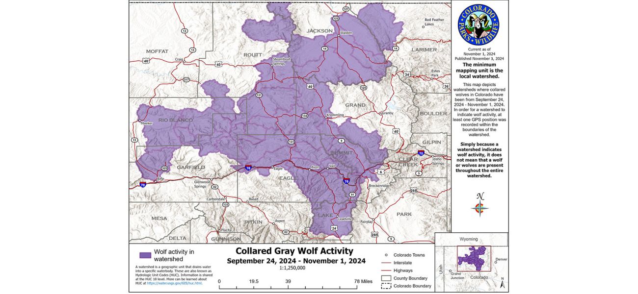 Wolves in Colorado move further south of I-70 for first time, expanding their territory.