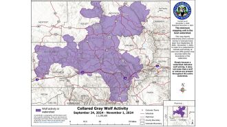 Wolves in Colorado move further south of I-70 for first time, expanding their territory.