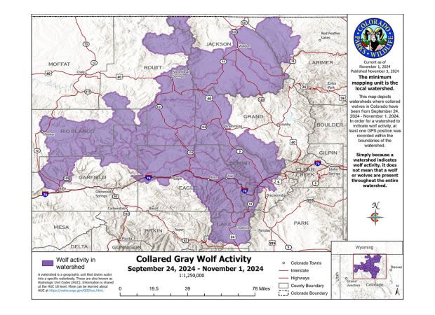 Wolves in Colorado move further south of I-70 for first time, expanding their territory.