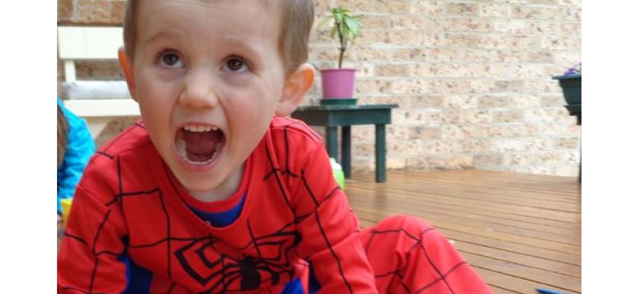 'Investigation into extensive search for William Tyrrell ongoing'
