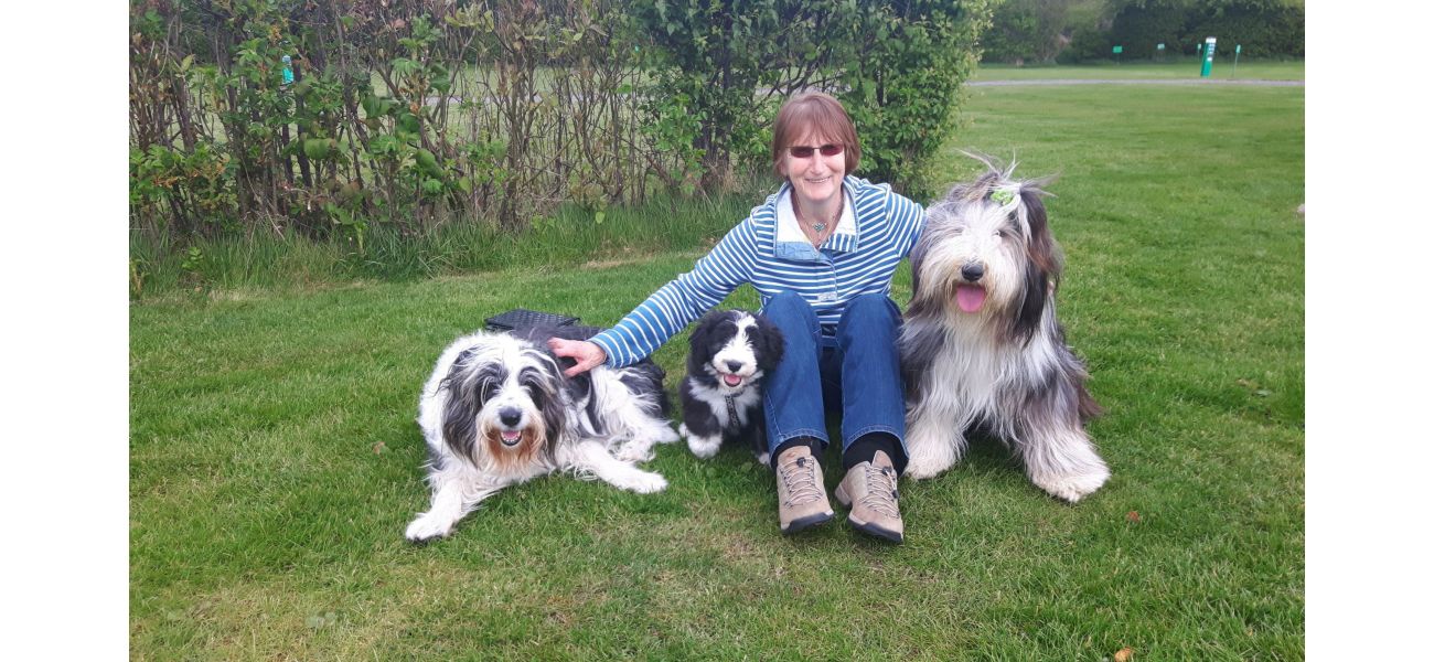 Dog dies from train accident after getting scared by fireworks.