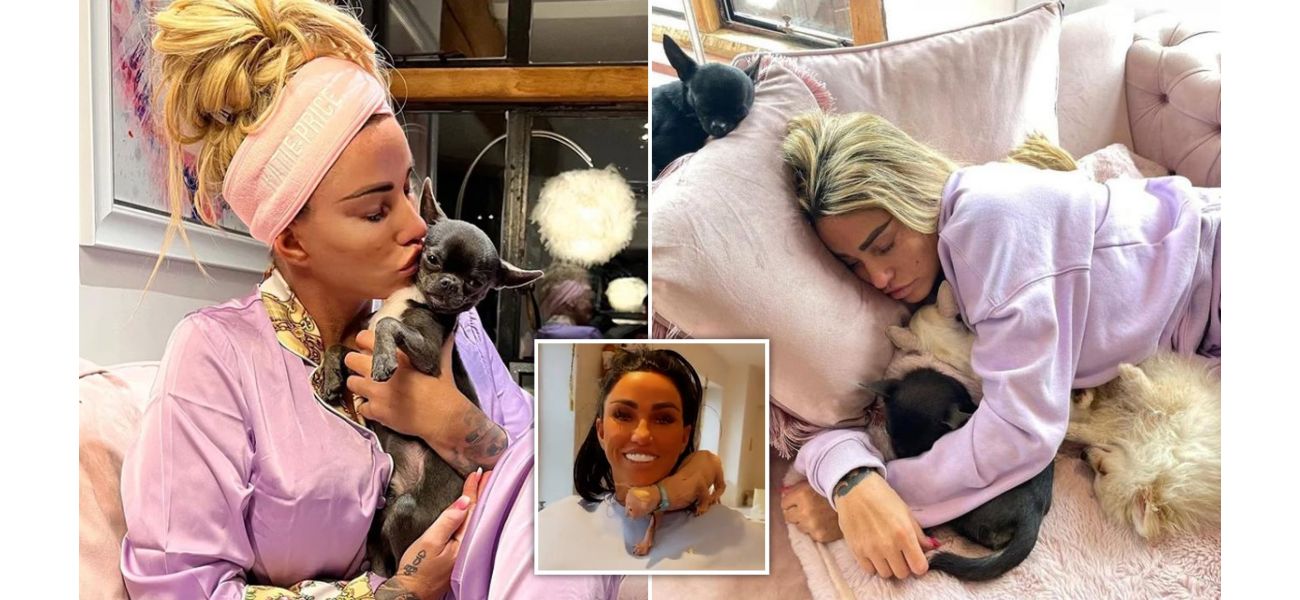 Katie Price shows that not everyone is fit to have pets.