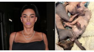 Katie Price buys two new cats for £2,000 following the loss of several pets.