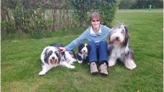 Dog dies from train accident after getting scared by fireworks.