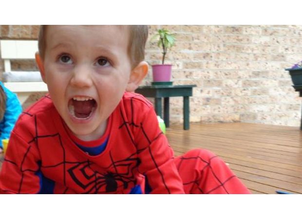 'Investigation into extensive search for William Tyrrell ongoing'