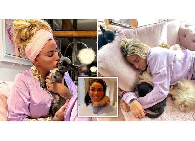 Katie Price shows that not everyone is fit to have pets.