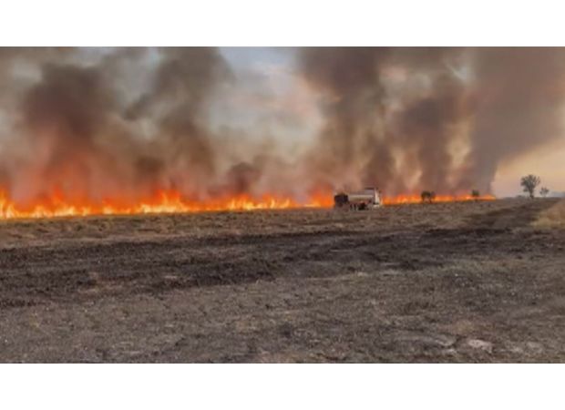 Hundreds evacuated due to bushfire in rural town in Queensland.