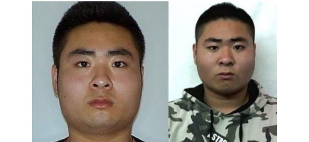 International student sentenced to nine years in jail for murder of two sex workers.