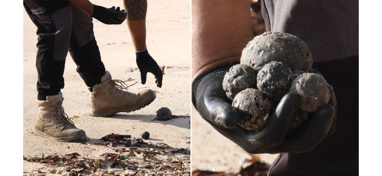 Black balls found on Sydney beaches called 'disgusting' and have now been identified.