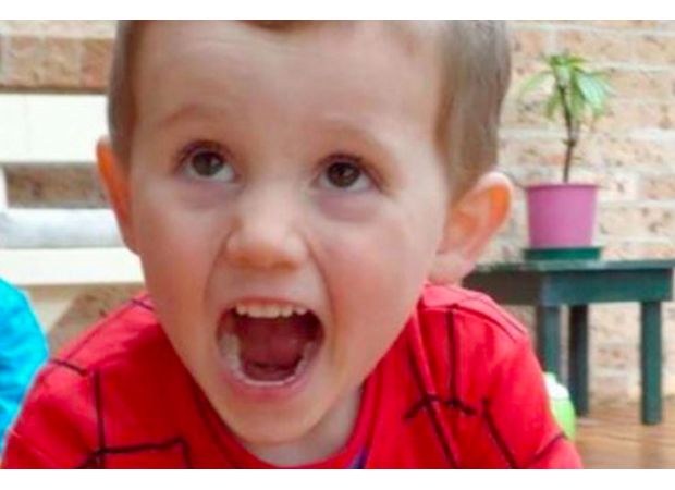 An investigation into William Tyrrell's disappearance will examine the questioning of his foster mother.