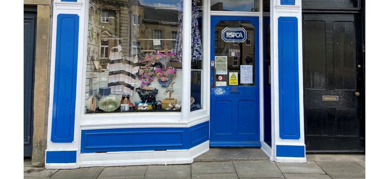 Employees at charity store confuse adult toys for door handles, leading to an embarrassing mistake.