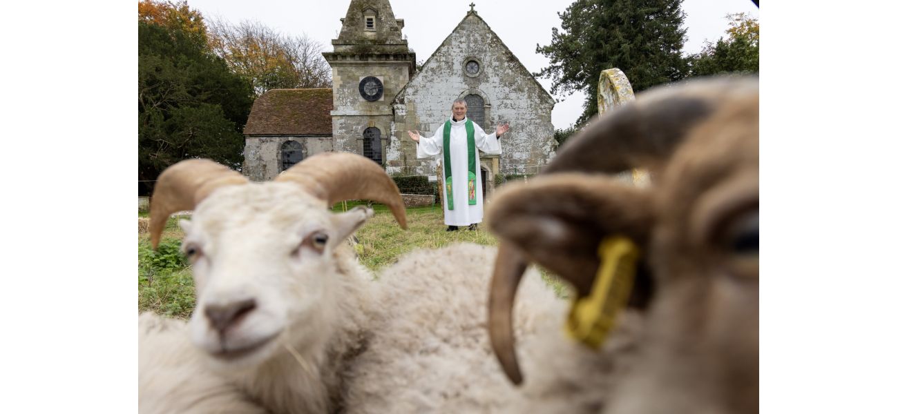 Church is using sheep to prevent roof collapse.