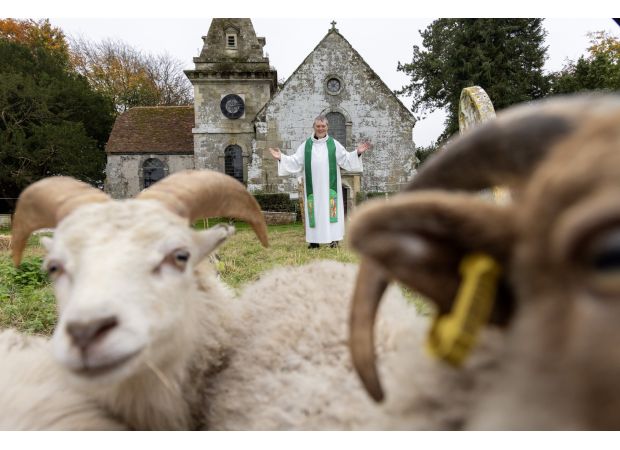 Church is using sheep to prevent roof collapse.