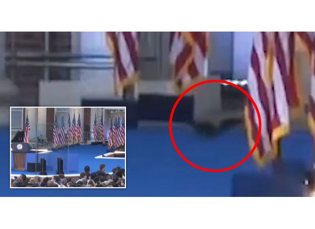 A squirrel was nicknamed the 