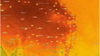 Extreme heat on east coast sparks fire and heatwave alerts.