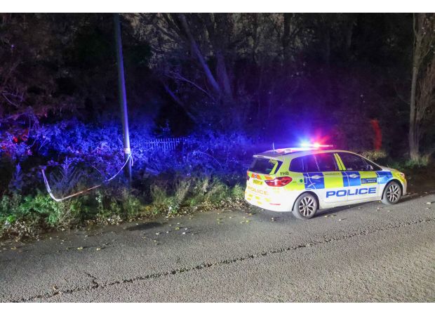 Body parts discovered in bushes near prison, believed to be arm and leg.