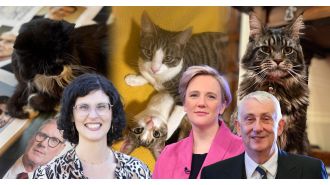 Furry friends of politicians engage in a fierce feline battle at Parliament.