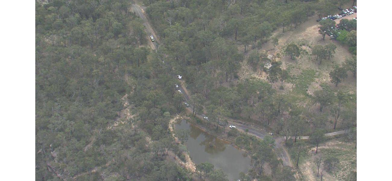 Adolescent boy discovered deceased in wooded area near street.