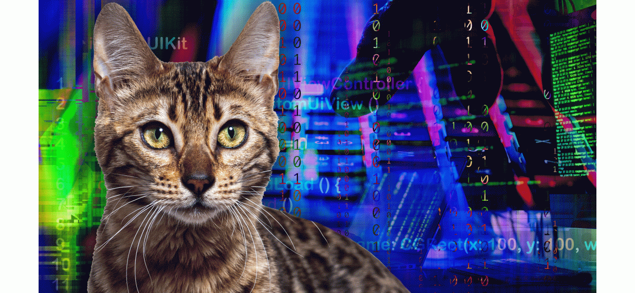 Six simple words could lead to a hacked computer with a quick search.