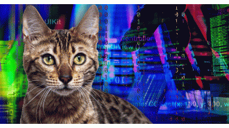 Six simple words could lead to a hacked computer with a quick search.