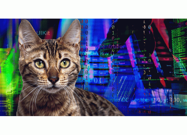 Six simple words could lead to a hacked computer with a quick search.