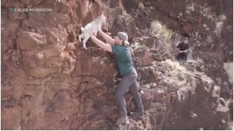 Hikers save trapped baby goat in Hawaii thanks to social media.