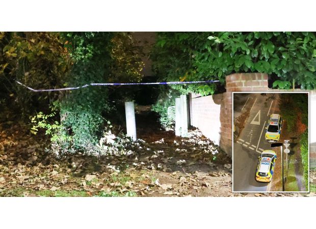 Tragedy strikes as a child is killed by a falling tree branch.