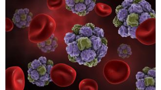 Learn about the symptoms of Kawasaki norovirus, a highly contagious winter bug in the UK, and discover ways to prevent its spread.