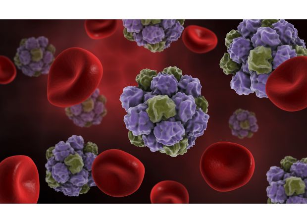 Learn about the symptoms of Kawasaki norovirus, a highly contagious winter bug in the UK, and discover ways to prevent its spread.