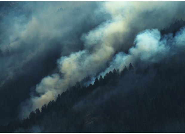 Colorado is facing increasingly severe wildfires and state leaders are taking action to combat them.