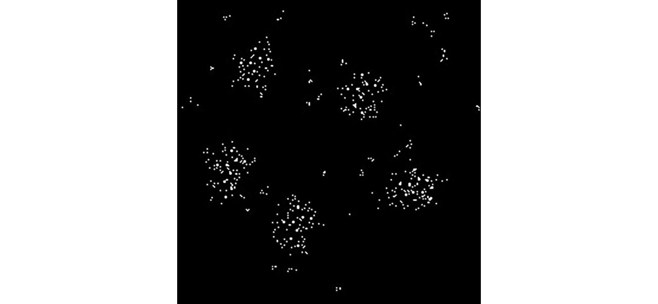 A decoded message from 2023 resembling an alien signal.
