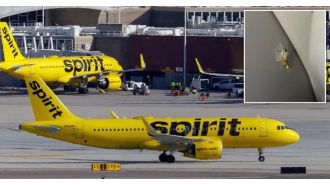Flight forced to land after gunshots wound crew member causing emergency landing.