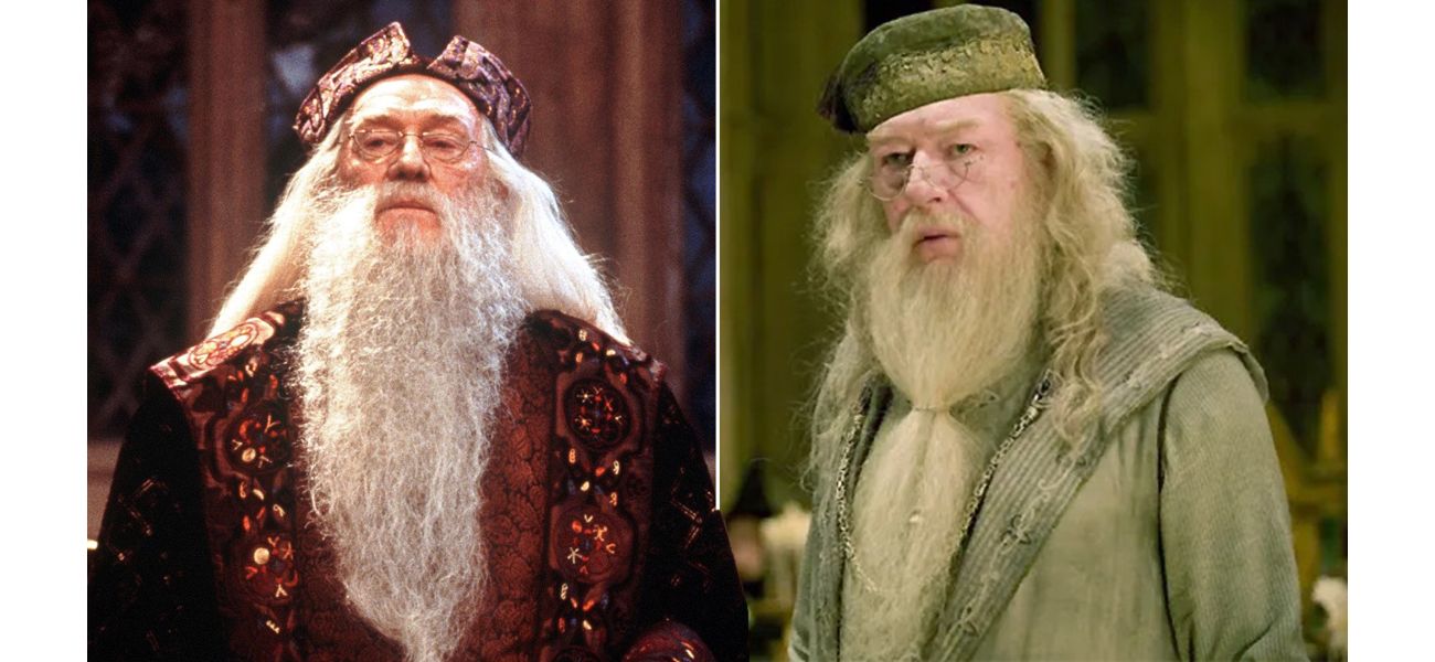 An Oscar-winning actor is a top choice to play Dumbledore in the upcoming Harry Potter TV revival.