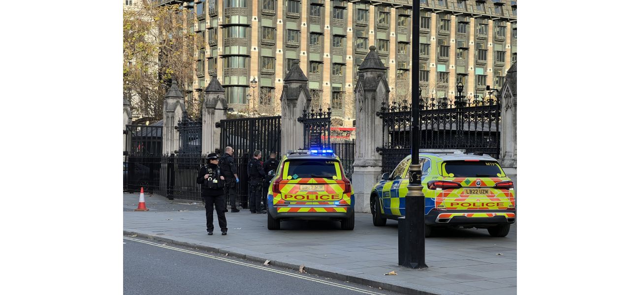 Armed man arrested outside Parliament after wielding knives.
