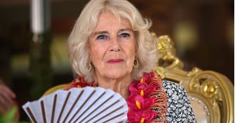 Queen is back to work after recovering from chest infection and not attending Remembrance Day event.