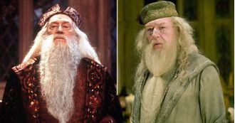 An Oscar-winning actor is a top choice to play Dumbledore in the upcoming Harry Potter TV revival.