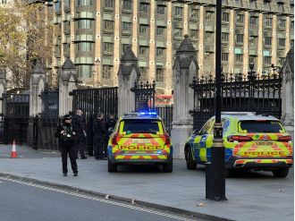 Armed man arrested outside Parliament after wielding knives.