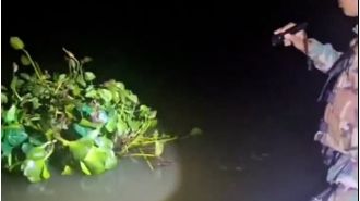 Man attempted to cross river undetected by dressing up as a water plant to smuggle cigarettes.