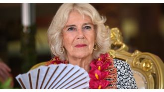 Queen is back to work after recovering from chest infection and not attending Remembrance Day event.