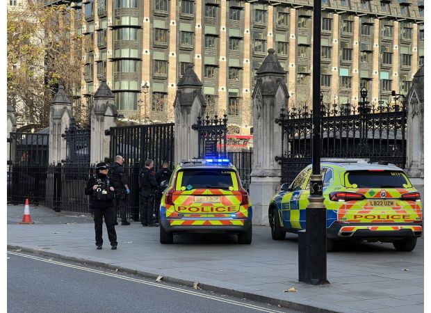 Armed man arrested outside Parliament after wielding knives.